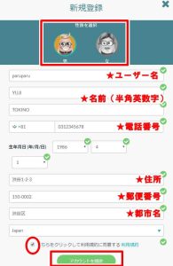 カシュミオ アカウント情報を入力