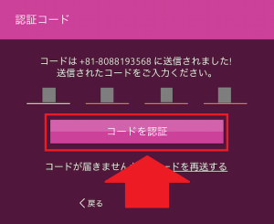 ラッキーニッキー 認証コードの入力