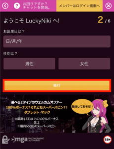 ラッキーニッキー 必要な情報を入力2
