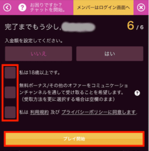 ラッキーニッキー 必要な情報を入力6