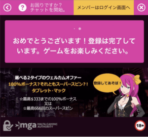 ラッキーニッキー 必要な情報を入力7