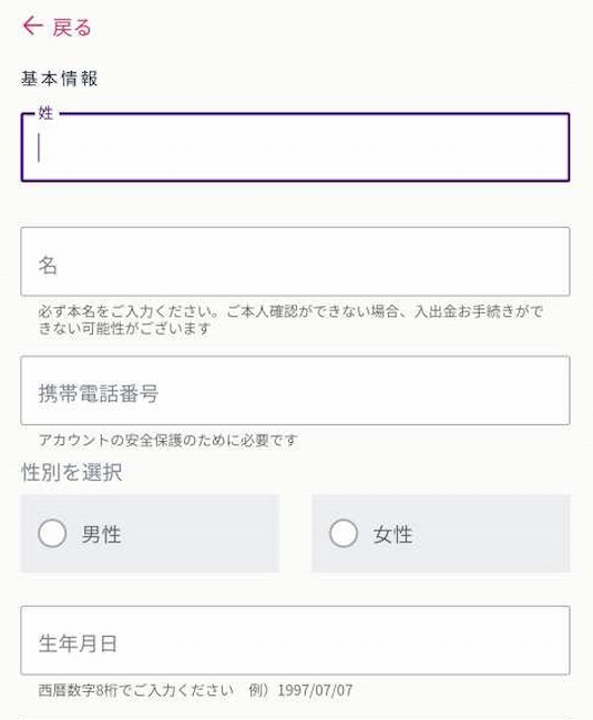 ミスティーノカジノ 登録手順3