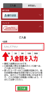 ジパングカジノ　入金画面