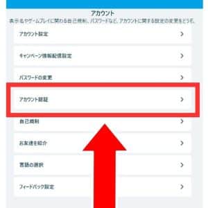 ベラジョン アカウント認証2