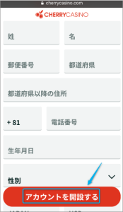 チェリーカジノ 登録画面 登録完了