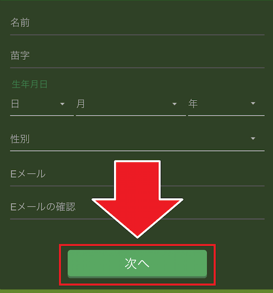 ワイルドジャングルカジノ 登録情報の入力1