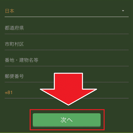 ワイルドジャングルカジノ 登録情報の入力2