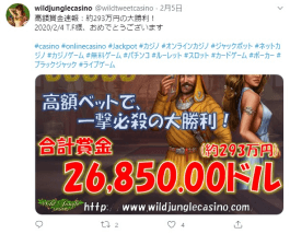ワイルドジャングルカジノ インタビュー1