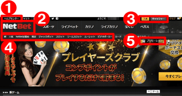ネットベットカジノ プレイ方法1