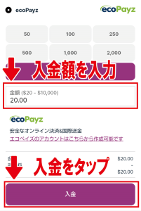 カジノシークレット　エコペイズ　入力画面