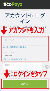 カジノシークレット　エコペイズ　入金決済