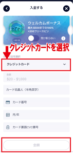 カジノフライデー　入金画面