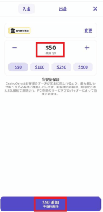 カジノデイズ 必要な決済情報を入力する