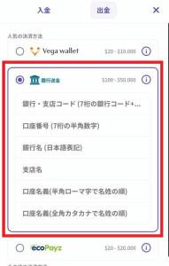 カジノデイズ 必要な決済情報を入力する