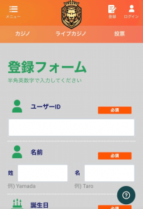 カジノレオ アカウント情報の入力