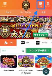 カジノレオ 登録画面