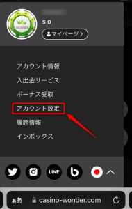 ワンダーカジノ 本人確認方法3