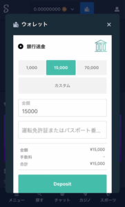 ステークカジノ 入金方法の選択
