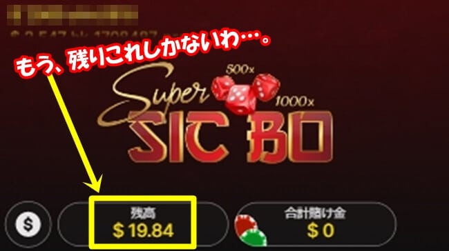 残高19$