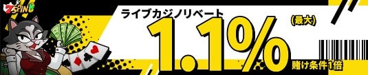 7スピンカジノ ライブリベートボーナス