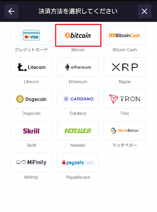 ビットスターズ 決済サービスを選択する
