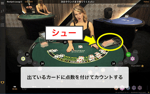 ブラックジャックの攻略法「カウンティングとは」