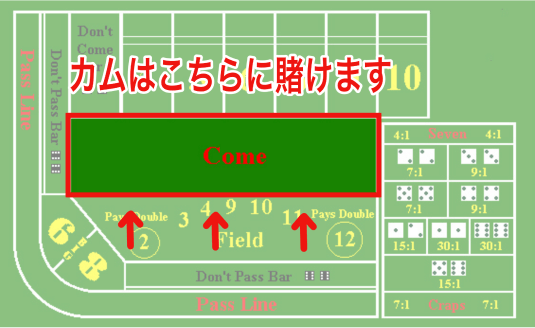 賭け方カム