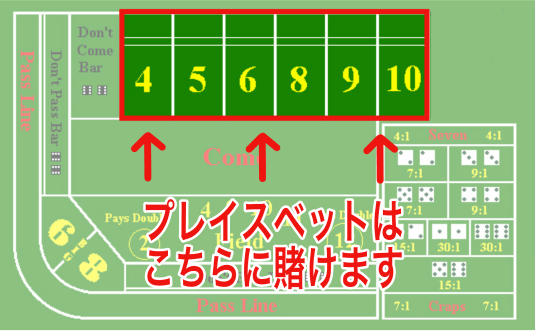 賭け方プレイスベット
