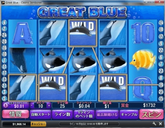 グレートブルー　ワイルド　大量発生