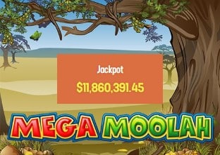 オンラインスロット「MEGS MOOLAH」