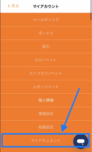 リンクスベット マイドキュメントを開く