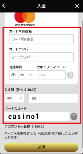 ウィニングキングス　決済情報入力画面