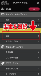ウィニングキングス　マイアカウント画面
