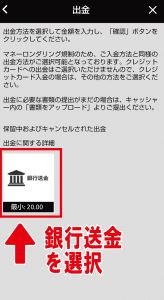 ウィニングキングス　出金画面