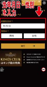 ウィニングキングス　生年月日・性別登録