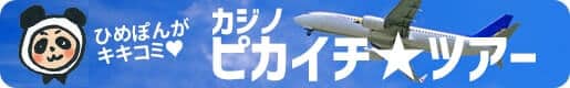 ワンダリーノカジノへ聞き込み調査