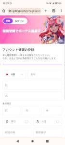 ゴーホグカジノ登録ステップ3