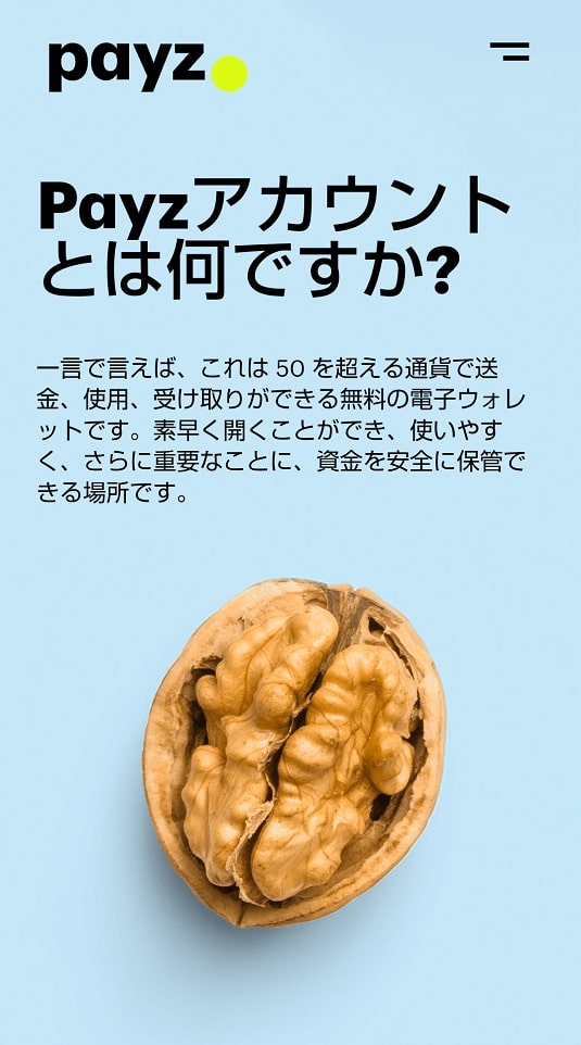 ペイズ　ホームページ