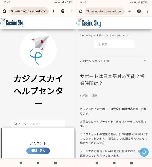 カジノスカイ 日本語サポート