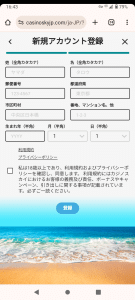 カジノスカイ 登録方法3
