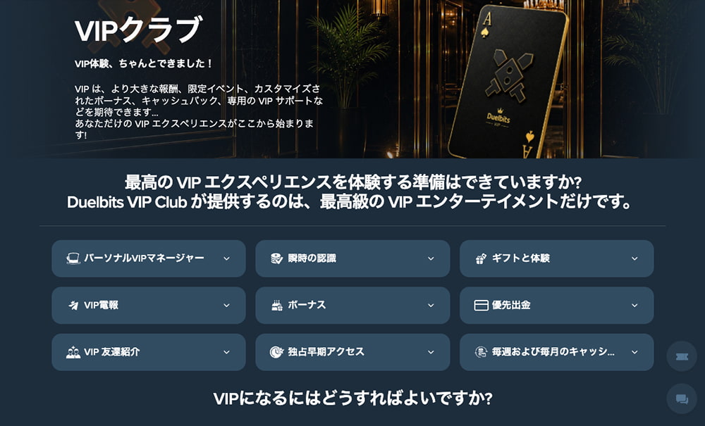 デュエルビッツ VIP