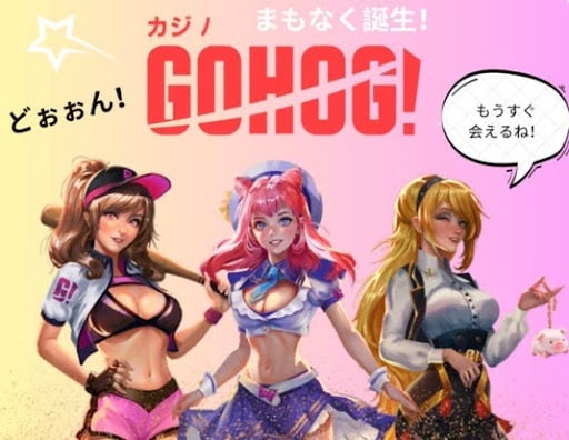 ゴーホグカジノ違法性