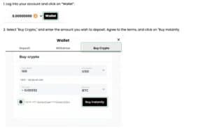 WSMカジノの入金ステップを解説しています