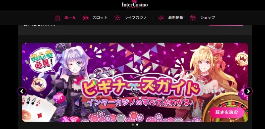 インターカジノホームページ