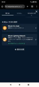 ベットパンダアイオ 入金方法2