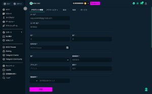 メガダイス KYC設定手順2