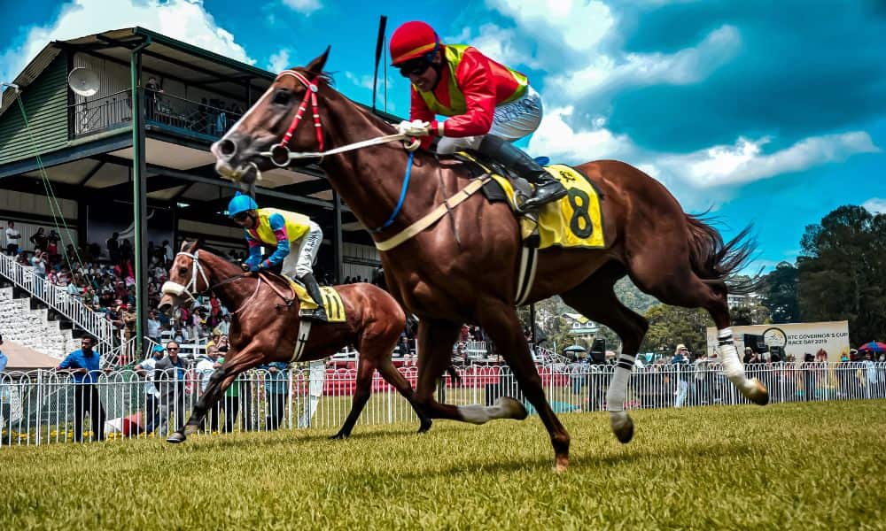 ギャンブル 種類 競馬