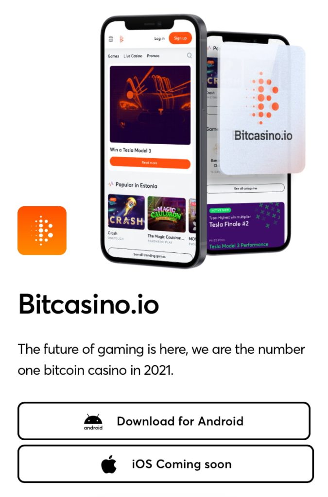 ビットカジノ アプリDL手順3