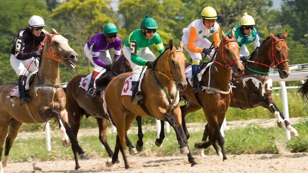 競馬の賞金配分