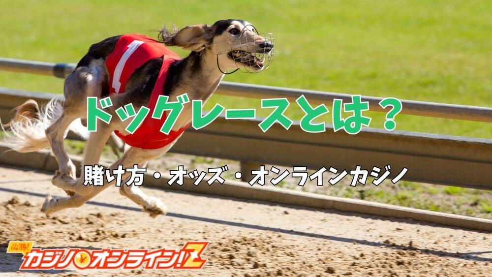 ドッグレース サムネ